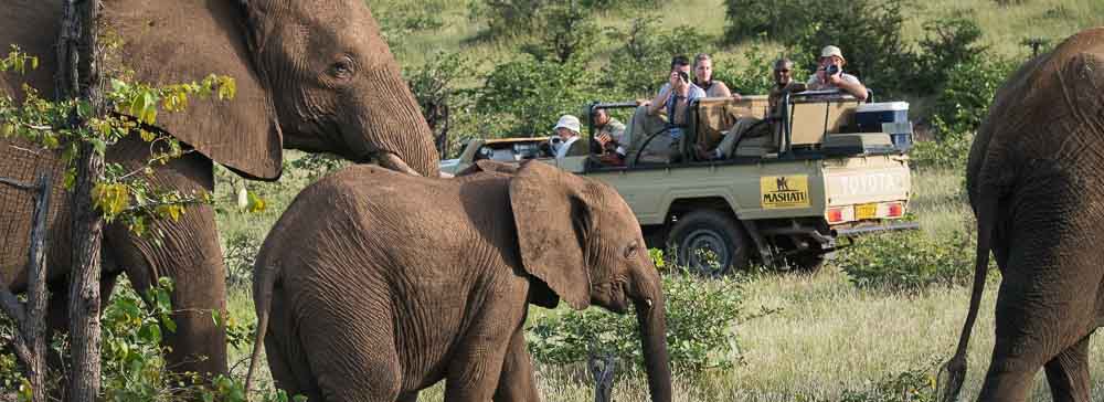 Safari's op maat - Mashatu - Tuli Game Reserve